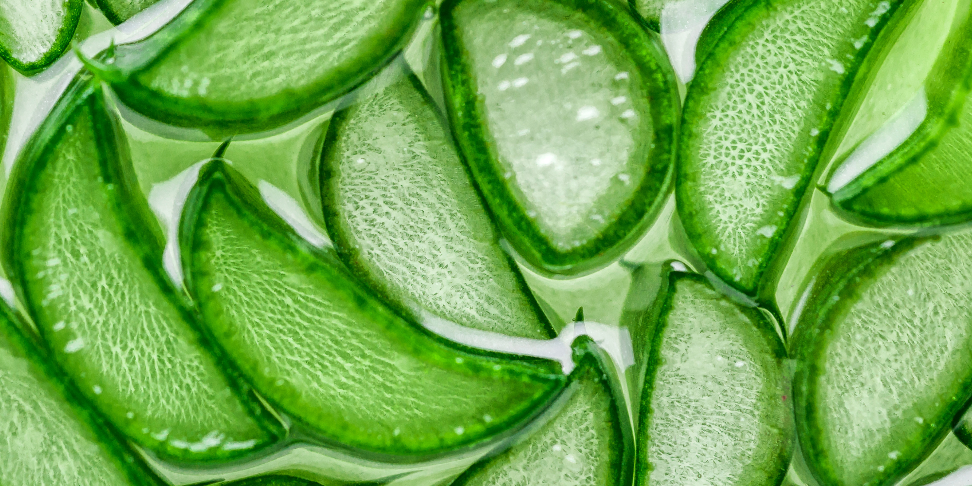 Aloe Vera Jeli Ne İşe Yarar? Güneş Yanığından Akneye 8 Farklı Kullanım, Dermokil Blog.