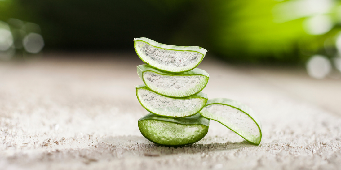 Aloe Vera'nın Cilde Etkileri: Bilimsel Kanıtlar ve Kullanım Rehberi, Dermokil Blog.
