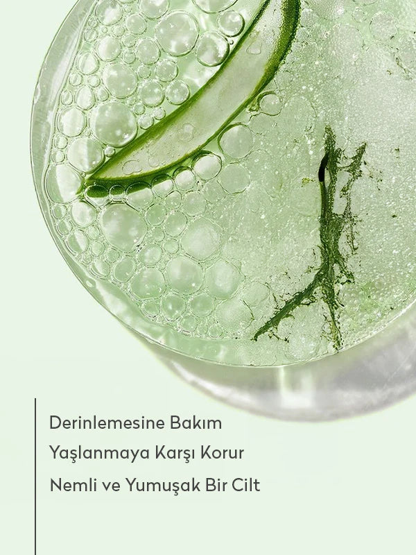Nemlendirici ve Rahatlatıcı Etkili Doğal Aloe Vera Jel 300 ml