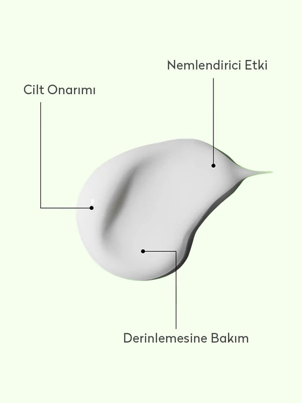 Zeytinyağı Yoğun Nemlendirici El ve Vücut Kremi 250 ml