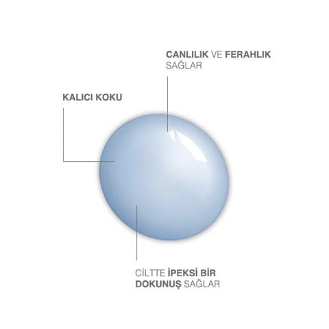 Doğal Mavi Ladin Jel Sabun 500 ml