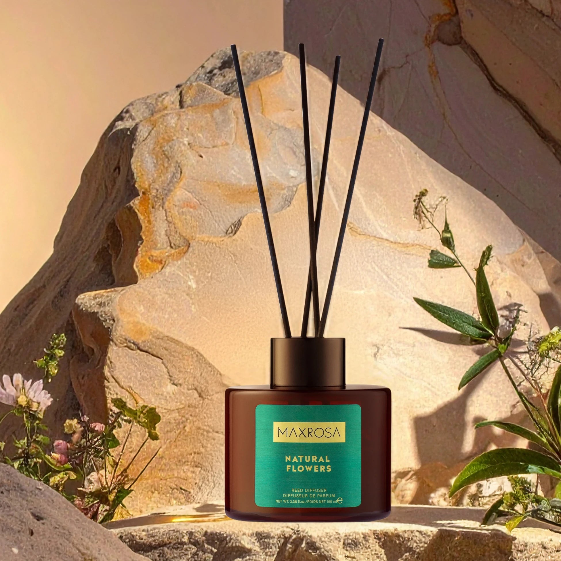 Maxrosa Natural Flower reed diffuser çubuklu oda kokusu ile yaşam alanlarında kalıcı ve hoş bir koku sağlayan, dekoratif tasarımıyla ortama doğal ve ferah bir atmosfer kazandıran oda kokusu
