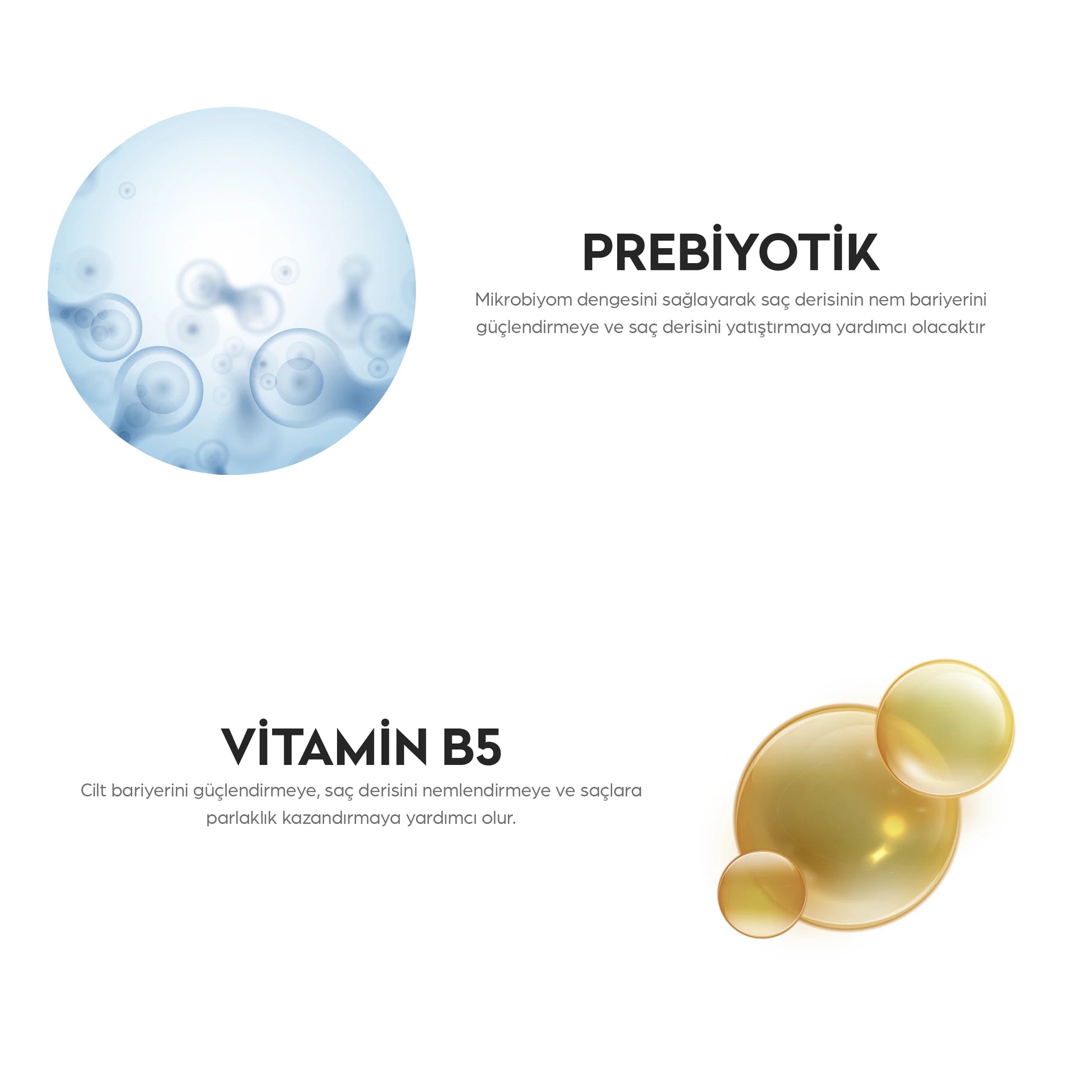 Prebiyotik ve Vitamin B5 içeren kepeğe karşı şampuan ile saç derisini arındıran, kepek oluşumunu azaltmaya yardımcı olan ve saçlara daha sağlıklı, güçlü ve dengeli bir görünüm kazandıran bakım ürünü